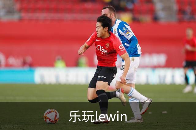 乐玩lewin公司简介